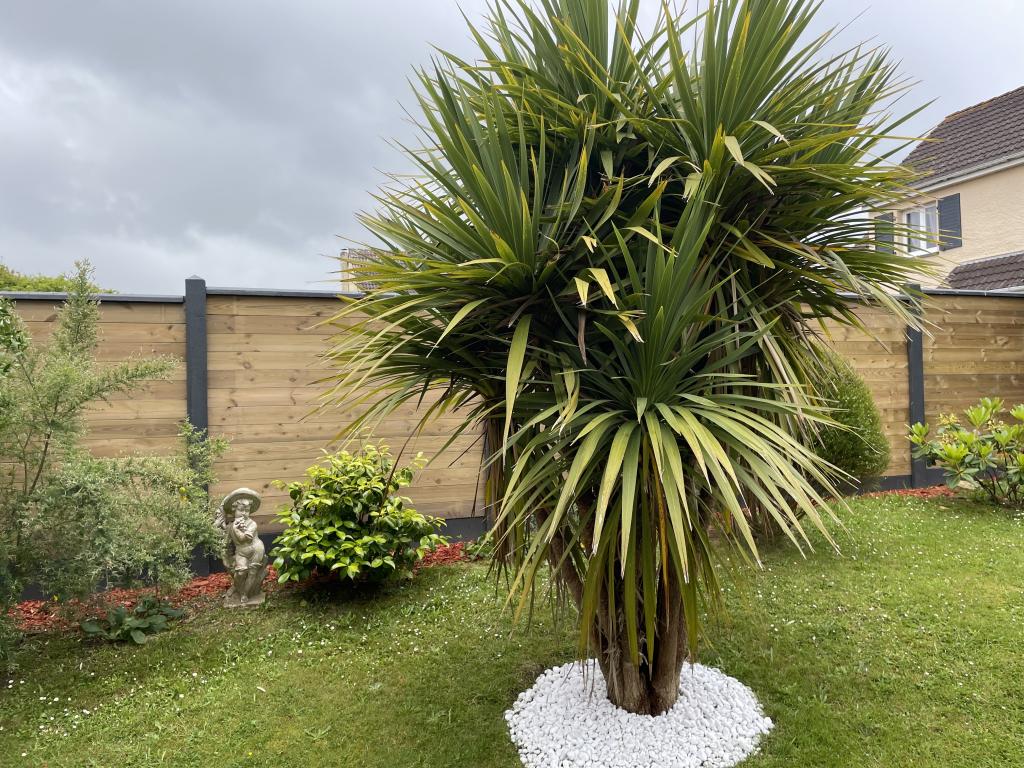 Clture mixte bton gris anthracite / bois 